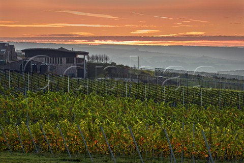Dawn breaking over winery and vineyards of Rathfinny Wine Estate Alfriston Sussex England