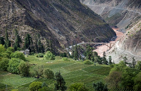Vineyards by the LanCang River at Beng village in the Heng Duan Mountain Range Yunnan Province China Asia