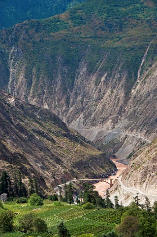 Vineyards by the LanCang River at Beng village in the Heng Duan Mountain Range Yunnan Province China Asia