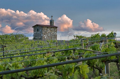 The Chapel in Red Willow Vineyard Near Toppenish Washington USA Yakima Valley AVA