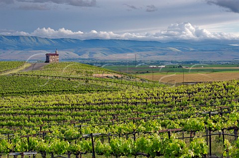 The chapel in Red Willow vineyard Near Toppenish Washington USA Yakima Valley AVA