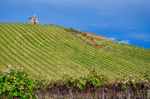 The chapel in Red Willow vineyard Near Toppenish Washington USA Yakima Valley AVA
