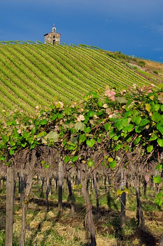 The Chapel in Red Willow vineyard Near Toppenish Washington USA Yakima Valley AVA