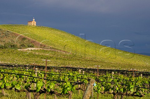 The Chapel in Red Willow vineyard Near Toppenish Washington USA Yakima Valley AVA