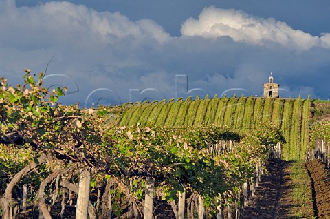 The Chapel in Red Willow vineyard Near Toppenish Washington USA Yakima Valley AVA