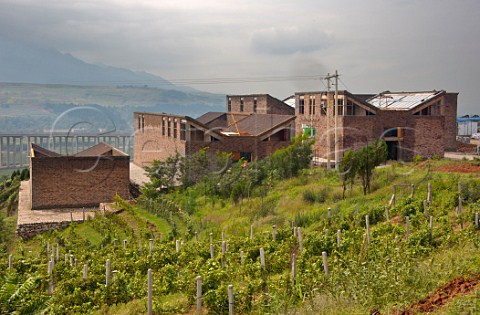 Jade Valley Winery and vineyard of Qingyun Ma Xian Shaanxi Province China