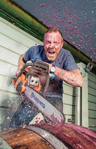 Grant Phelps chainsaws a barrel of wine Casas del Bosque Casablanca Valley Chile