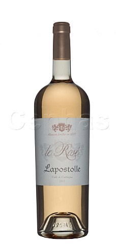 Magnum of Le Ros of Lapostolle  Colchagua Valley Chile