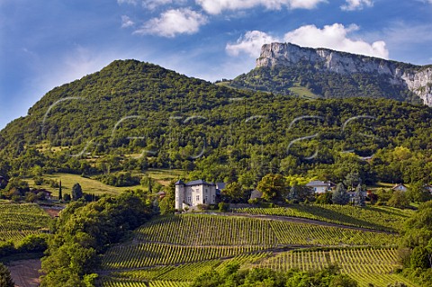 Chteau de Monterminod and its Altesse vineyards StAlbanLeysse near Chambry Savoie France  Roussette de Savoie cru Monterminod