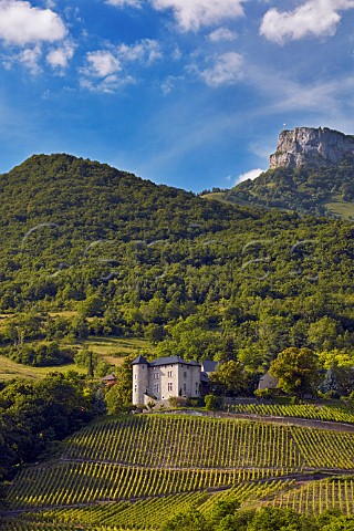 Chteau de Monterminod and its Altesse vineyards StAlbanLeysse near Chambry Savoie France  Roussette de Savoie cru Monterminod