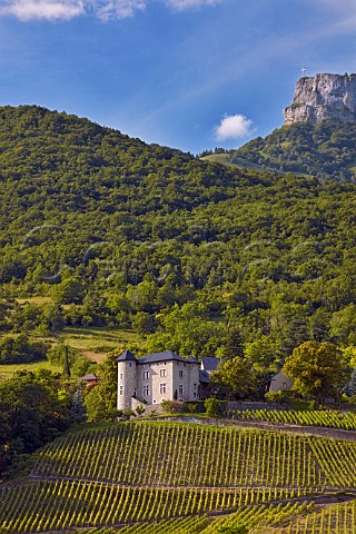 Chteau de Monterminod and its Altesse vineyards StAlbanLeysse near Chambry Savoie France  Roussette de Savoie cru Monterminod