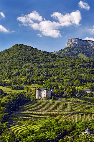 Chteau de Monterminod and its Altesse vineyards StAlbanLeysse near Chambry Savoie France  Roussette de Savoie cru Monterminod