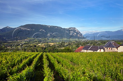Le Palais vineyard of Cellier du Palais in the village of Apremont with view to Chignin and the Combe de Savoie Savoie France Apremont