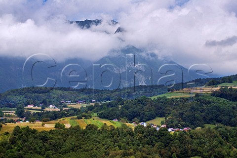 Remote vineyards in the hills near Albertville Savoie France