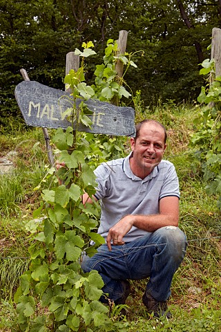 Brice Omont vigneron with Malvoisie Pinot Gris vines of Domaine des Ardoisires Cvins Savoie France IGP Vin des Allobroges