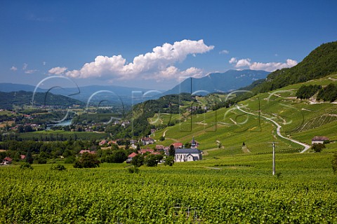 Jongieux village and church above the River Rhne The Altesse vineyards on the slopes of the Mont de Charvaz are Roussette de Savoie cru Marestel Savoie France   Roussette de Savoie cru Marestel