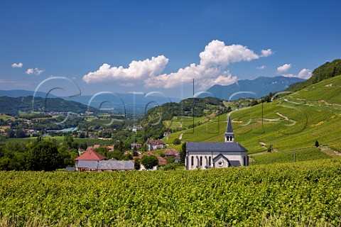 Jongieux village and church above the River Rhne The Altesse vineyards on the slopes of the Mont de Charvaz are Roussette de Savoie cru Marestel Savoie France   Roussette de Savoie cru Marestel