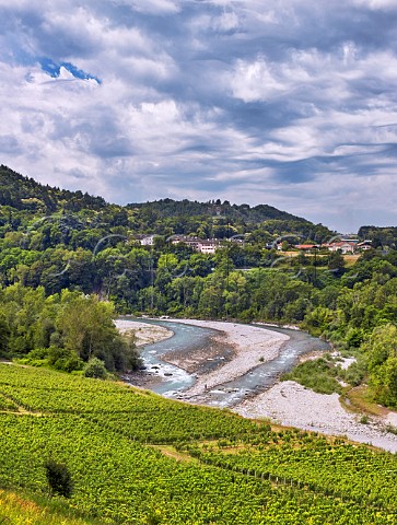 Clos du Pont vineyard of Domaine Delalex above the Dranse River Marin HauteSavoie France