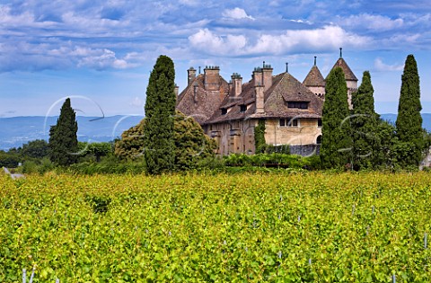 Chteau de Ripaille and its vineyard ThononlesBains HauteSavoie France