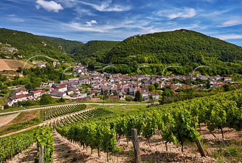 Vineyards above village of Cerdon  Ain France  Cru Cerdon  Bugey
