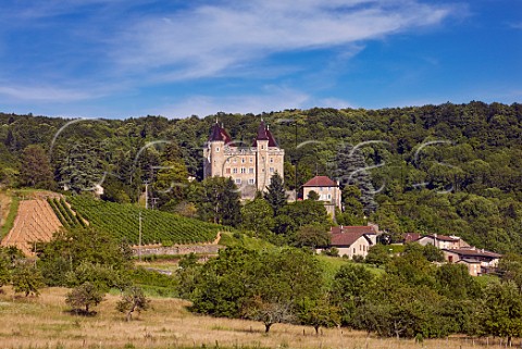 Vineyard below Chteau de Varey SaintJeanleVieux Ain France Cru Cerdon  Bugey