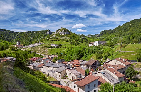 Vineyards by the church above village of Cerdon  Ain France  Cru Cerdon  Bugey