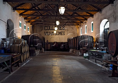 Winery of Adega Viuva Gomes Almoageme Lisboa Portugal  Colares