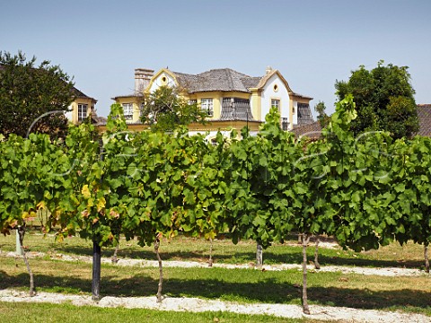 Manor house and vineyard of Jose Maria da Fonseca Azeito Portugal