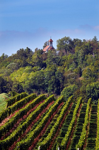 Chapelle SaintRomain and vineyards on the Camino de Santiago above JongieuxleHaut Savoie France Jongieux