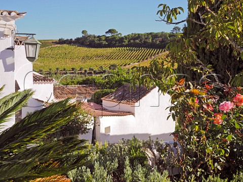 Manor house and vineyard of Quinta de Chocapalha Aldeia Galega Estremadura Portugal  Alenquer