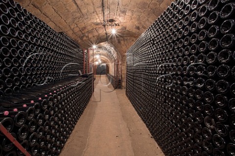 Champagne ageing sur lattes in cellar of AR Le Noble Damery Marne France Valle de la Marne  Champagne