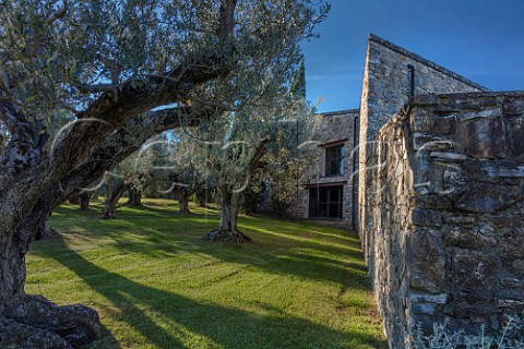 Ca Marcanda winery and olive grove Castagneto Carducci Tuscany Italy  Bolgheri