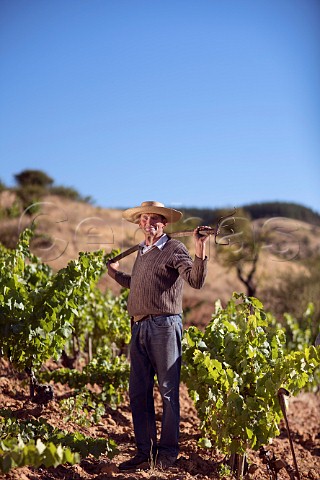 Nivaldo Morales in his Grenache vineyard Sauzal Cauquenes Chile Maule Valley