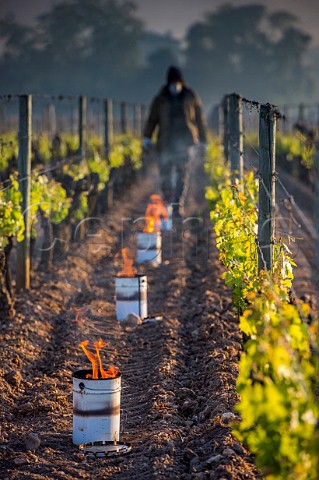 Oil burning smudge pots in vineyard of Chteau Lafleur during subzero temperatures of April 2017 Pomerol Gironde France Pomerol  Bordeaux