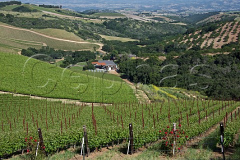 Daou Vineyards on Daou Mountain in the Adelaida District Paso Robles California  Paso Robles 