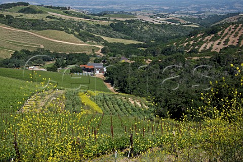 Daou Vineyards on Daou Mountain in the Adelaida District Paso Robles California  Paso Robles 