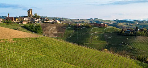 Lazzarito vineyard in early spring Serralunga dAlba Piedmont Italy  Barolo