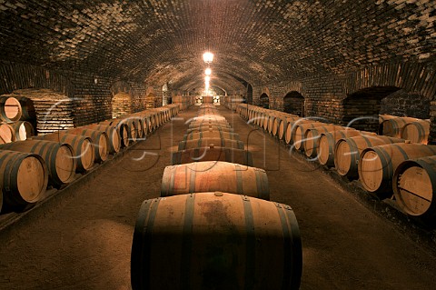 Casillero del Diablo barrel cellar at Concha y Toro Pirque Maipo Valley Chile
