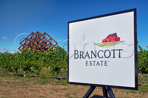 Understanding by Dror Benshetrit in vineyard of Brancott Estate  Brancott Valley Marlborough New Zealand