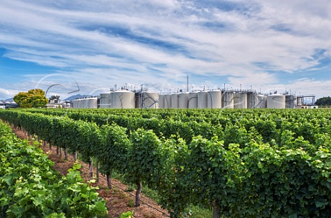 Drylands winery and vineyard of Constellation in the Wairau Valley Blenheim Marlborough New Zealand