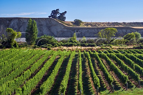 Wakefield Downs vineyard of Babich by the Awatere River planted entirely with Sauvignon Blanc Seddon Marlborough New Zealand  Awatere Valley