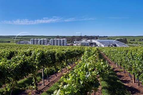 Winery and vineyard of Yealands Estate the roof is covered with 1314 photovoltaic panels Seddon Marlborough New Zealand  Awatere Valley