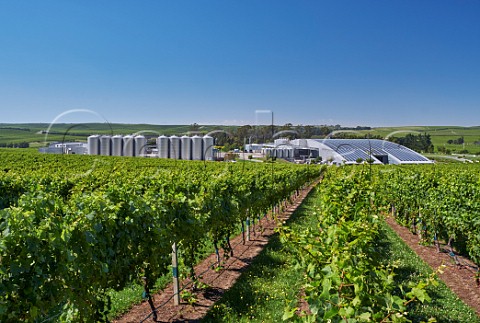 Winery and vineyard of Yealands Estate the roof is covered with 1314 photovoltaic panels Seddon Marlborough New Zealand  Awatere Valley