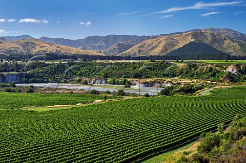 Tupari Vineyard above the Awatere River planted with Sauvignon Blanc The large block in foreground is contracted to Oyster Bay and the one beyond to Greywacke Seddon Marlborough New Zealand  Awatere Valley