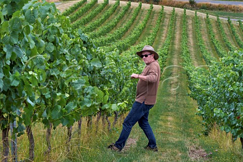 Kevin Judd lifting the wires in Greywacke Farm Vineyard Pinot Noir vines trained on VSP trellis  Omaka Valley Marlborough New Zealand
