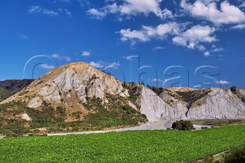 Medway Vineyard of The Crossings high in the valley of the Awatere River is planted with Sauvignon Blanc Chardonnay Riesling and Pinot Noir Seddon Marlborough New Zealand