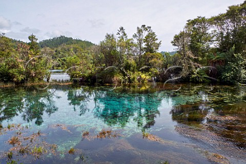 Te Waikoropupu Springs  Takaka Nelson Tasman New Zealand