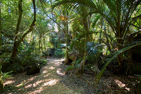 The Grove Scenic Reserve Takaka Nelson Tasman New Zealand