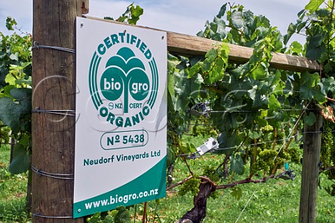 Organic Chardonnay vineyard of Neudorf Upper Moutere Nelson New Zealand