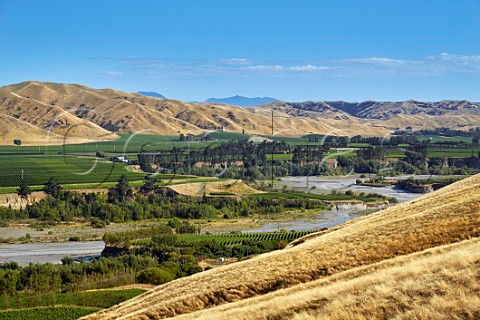 Vineyards by the Awatere River  Seddon Marlborough New Zealand  Awatere Valley